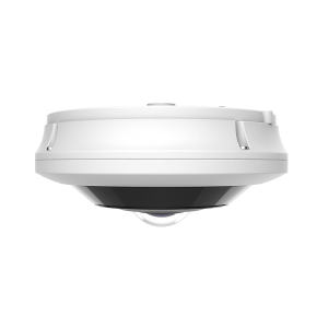 Professional 12 MP DWDR 360° Fisheye Dome Network Camera