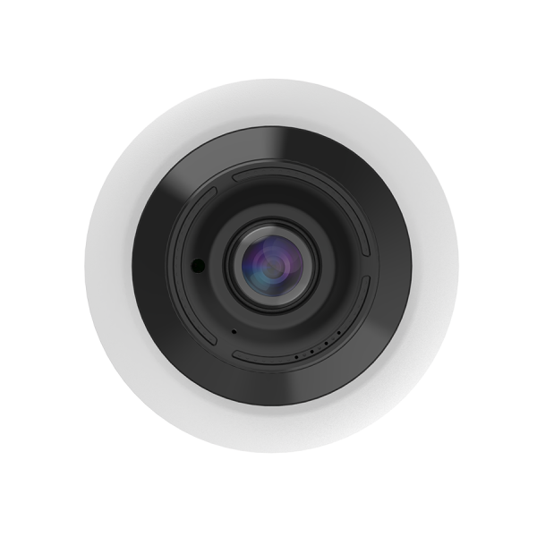 Professional 12 MP DWDR 360° Fisheye Dome Network Camera - Image 3